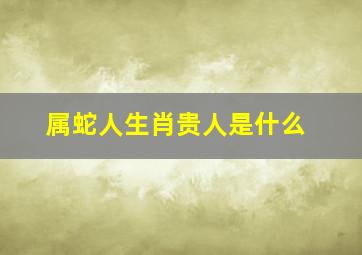 属蛇人生肖贵人是什么