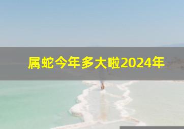 属蛇今年多大啦2024年