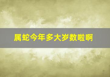 属蛇今年多大岁数啦啊