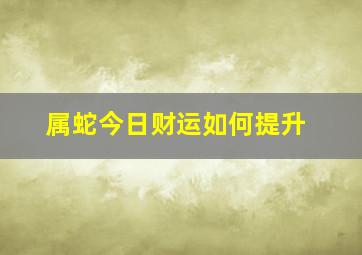 属蛇今日财运如何提升