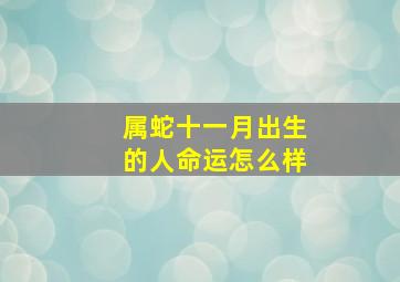 属蛇十一月出生的人命运怎么样