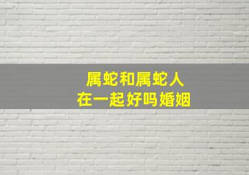 属蛇和属蛇人在一起好吗婚姻