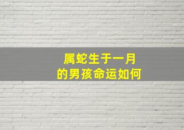 属蛇生于一月的男孩命运如何