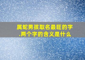 属蛇男孩取名最旺的字.两个字的含义是什么