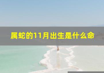 属蛇的11月出生是什么命