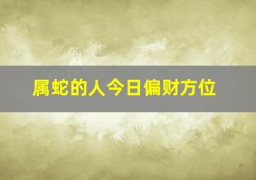 属蛇的人今日偏财方位