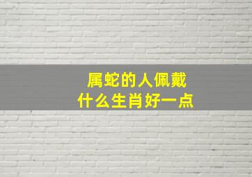 属蛇的人佩戴什么生肖好一点