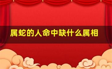 属蛇的人命中缺什么属相