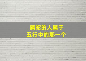 属蛇的人属于五行中的那一个