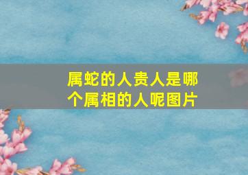 属蛇的人贵人是哪个属相的人呢图片