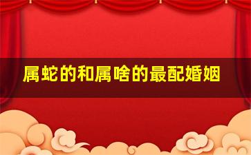 属蛇的和属啥的最配婚姻