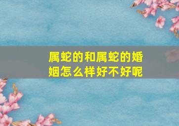 属蛇的和属蛇的婚姻怎么样好不好呢