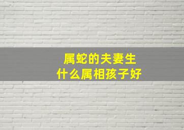 属蛇的夫妻生什么属相孩子好