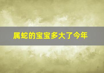 属蛇的宝宝多大了今年