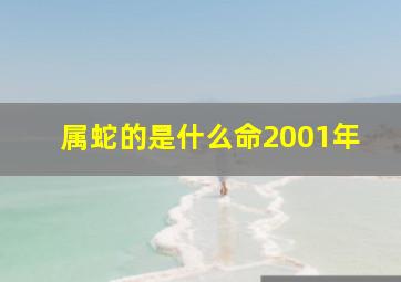 属蛇的是什么命2001年