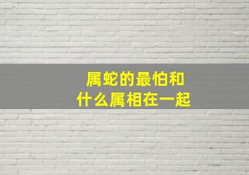 属蛇的最怕和什么属相在一起