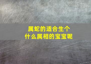 属蛇的适合生个什么属相的宝宝呢