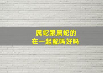 属蛇跟属蛇的在一起配吗好吗