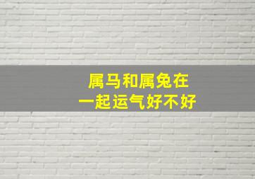 属马和属兔在一起运气好不好