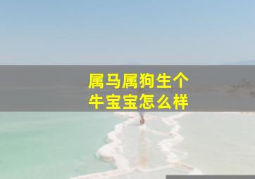 属马属狗生个牛宝宝怎么样