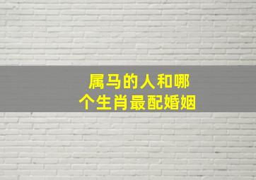 属马的人和哪个生肖最配婚姻