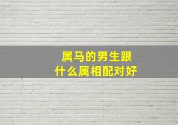 属马的男生跟什么属相配对好