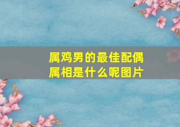 属鸡男的最佳配偶属相是什么呢图片