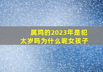 属鸡的2023年是犯太岁吗为什么呢女孩子