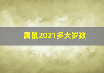 属鼠2021多大岁数