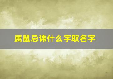 属鼠忌讳什么字取名字