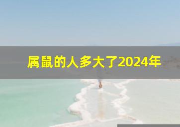 属鼠的人多大了2024年