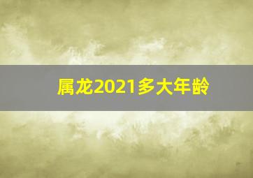 属龙2021多大年龄