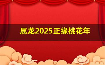 属龙2025正缘桃花年