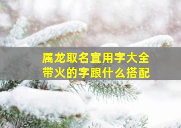 属龙取名宜用字大全带火的字跟什么搭配