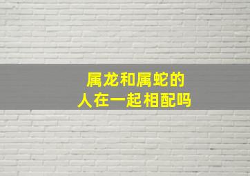 属龙和属蛇的人在一起相配吗