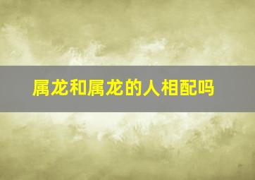 属龙和属龙的人相配吗