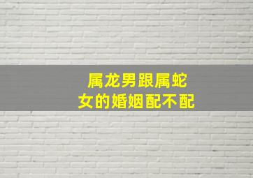 属龙男跟属蛇女的婚姻配不配