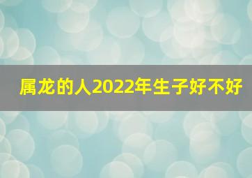 属龙的人2022年生子好不好