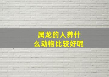 属龙的人养什么动物比较好呢