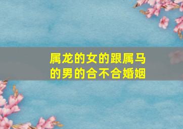 属龙的女的跟属马的男的合不合婚姻