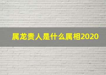 属龙贵人是什么属相2020