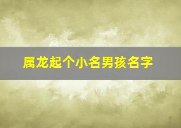 属龙起个小名男孩名字