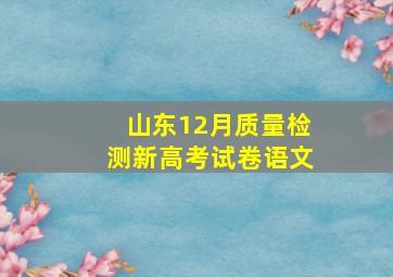 山东12月质量检测新高考试卷语文