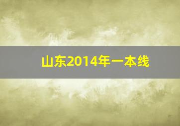 山东2014年一本线