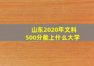 山东2020年文科500分能上什么大学