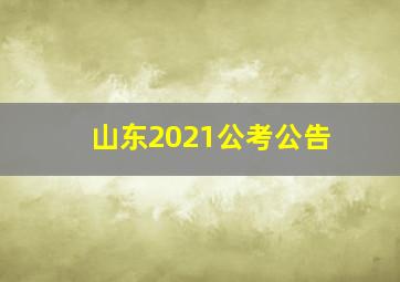 山东2021公考公告