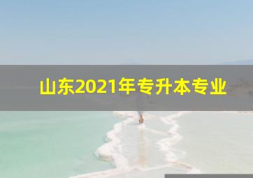 山东2021年专升本专业