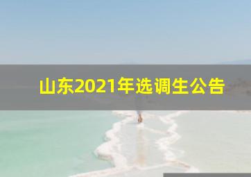 山东2021年选调生公告