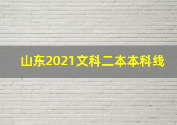 山东2021文科二本本科线