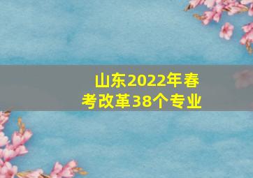 山东2022年春考改革38个专业